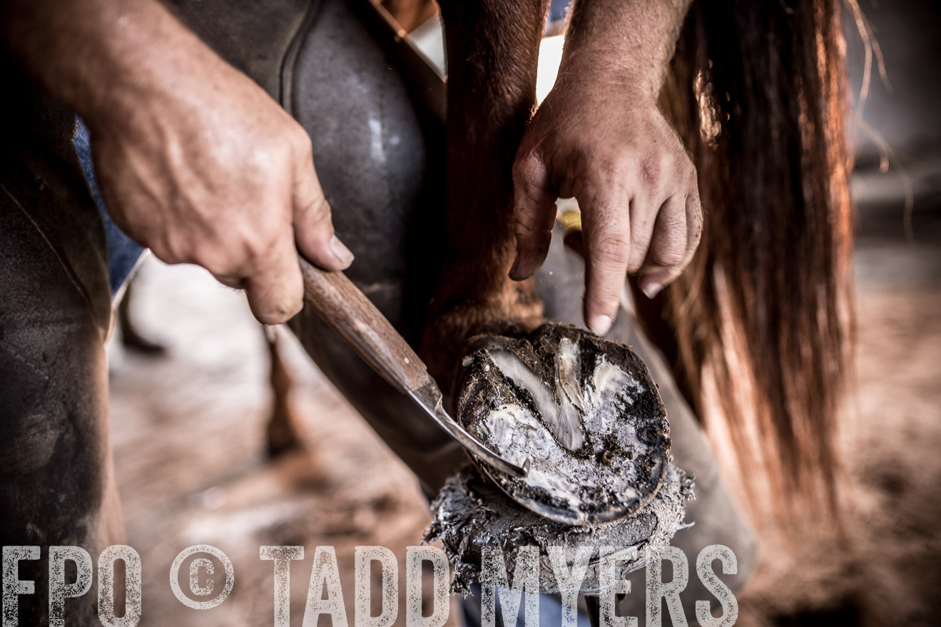TMyers_CameronTX_June2016-1429