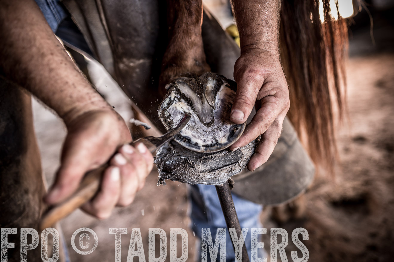 TMyers_CameronTX_June2016-1443