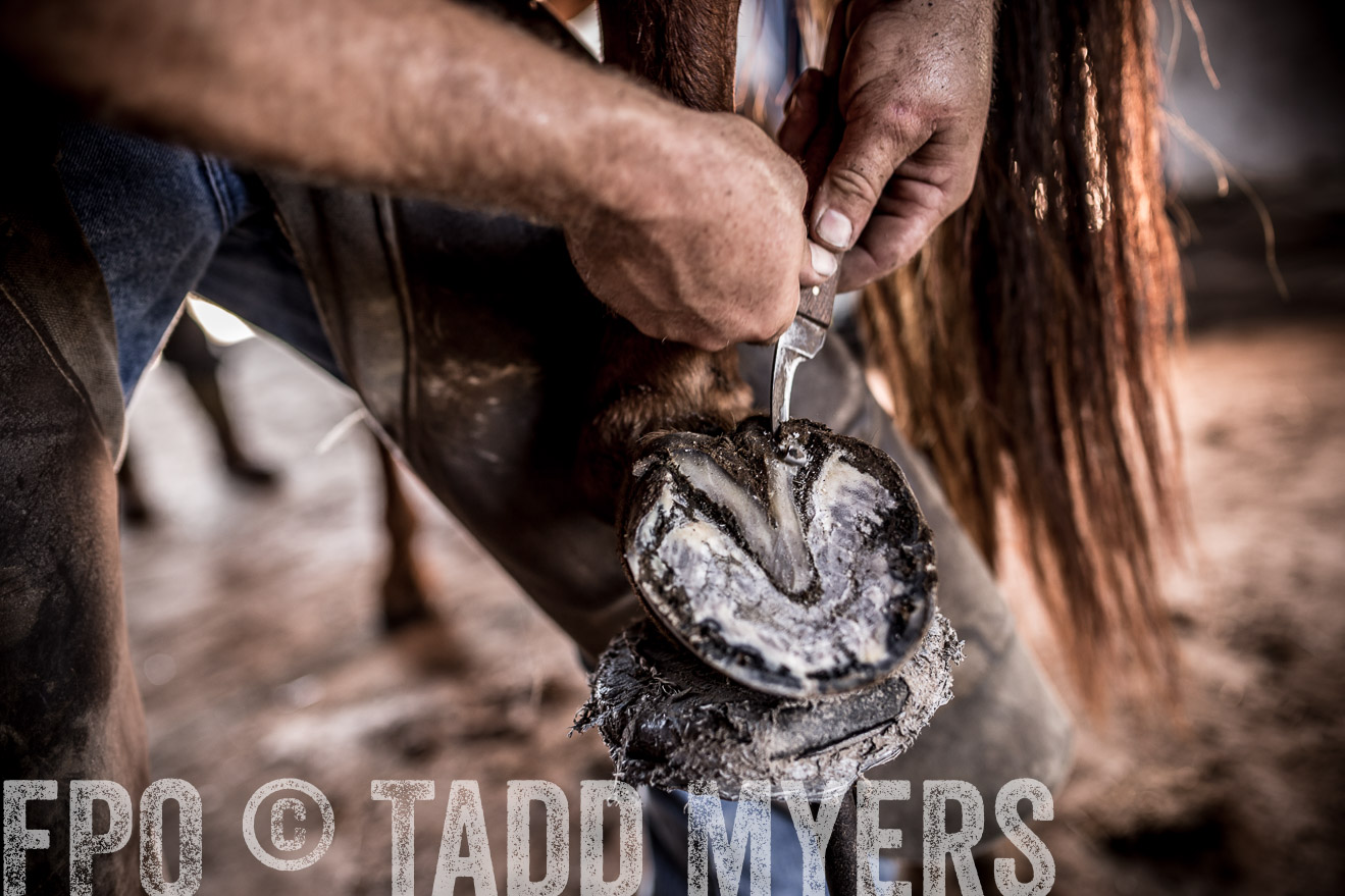 TMyers_CameronTX_June2016-1445