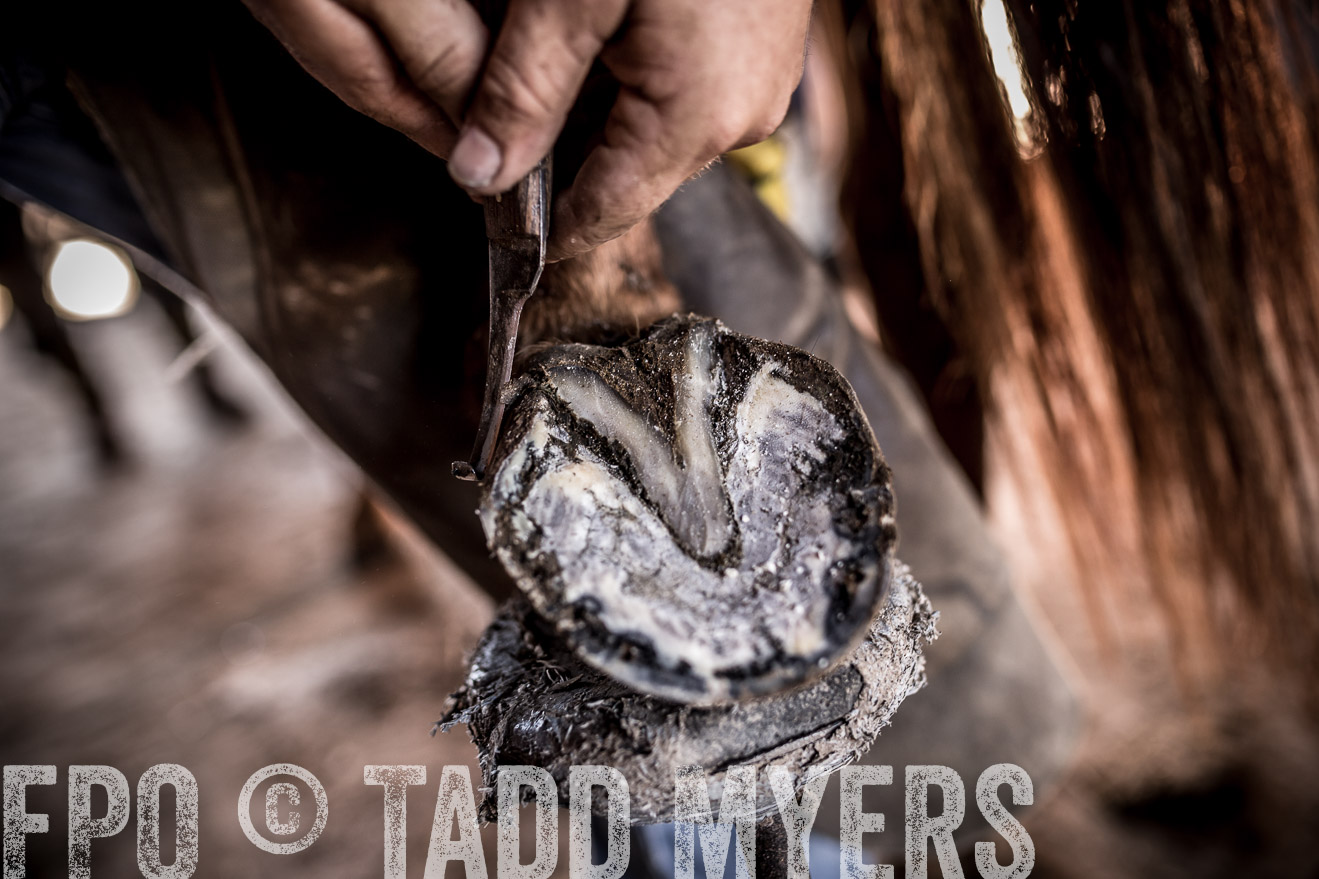 TMyers_CameronTX_June2016-1448