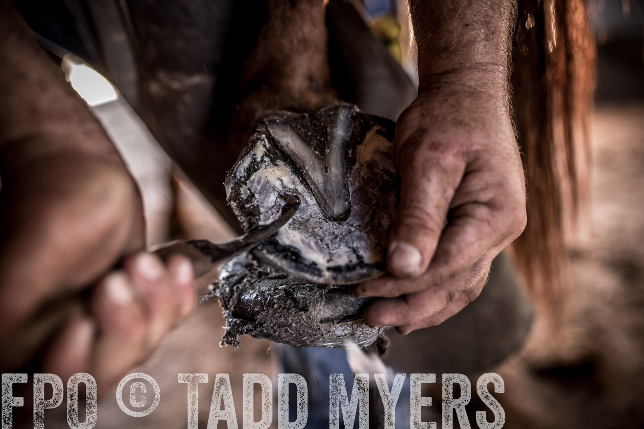 TMyers_CameronTX_June2016-1457