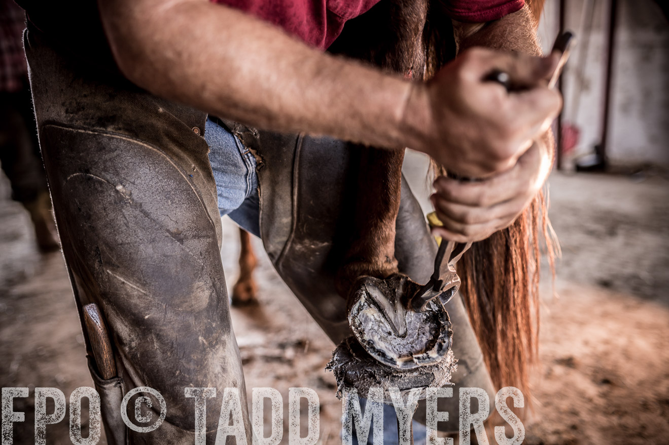TMyers_CameronTX_June2016-1465