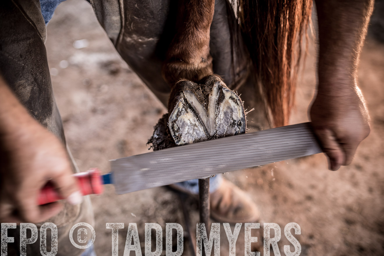 TMyers_CameronTX_June2016-1481