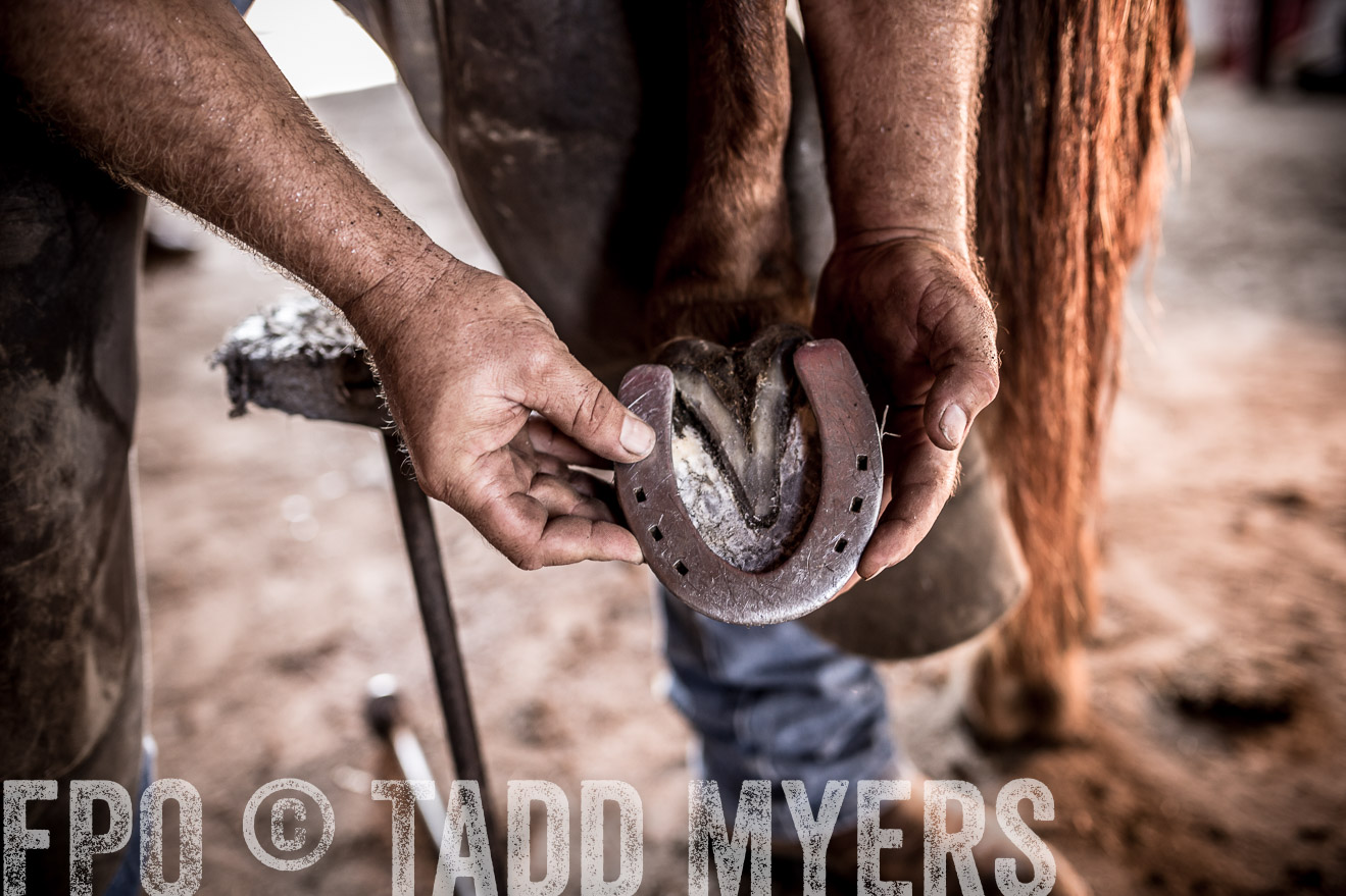 TMyers_CameronTX_June2016-1486