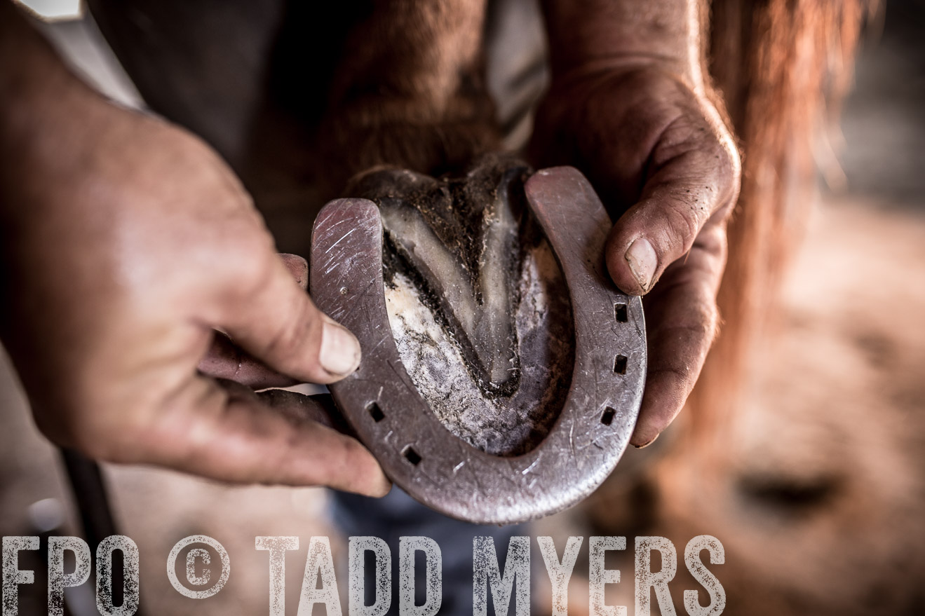 TMyers_CameronTX_June2016-1491
