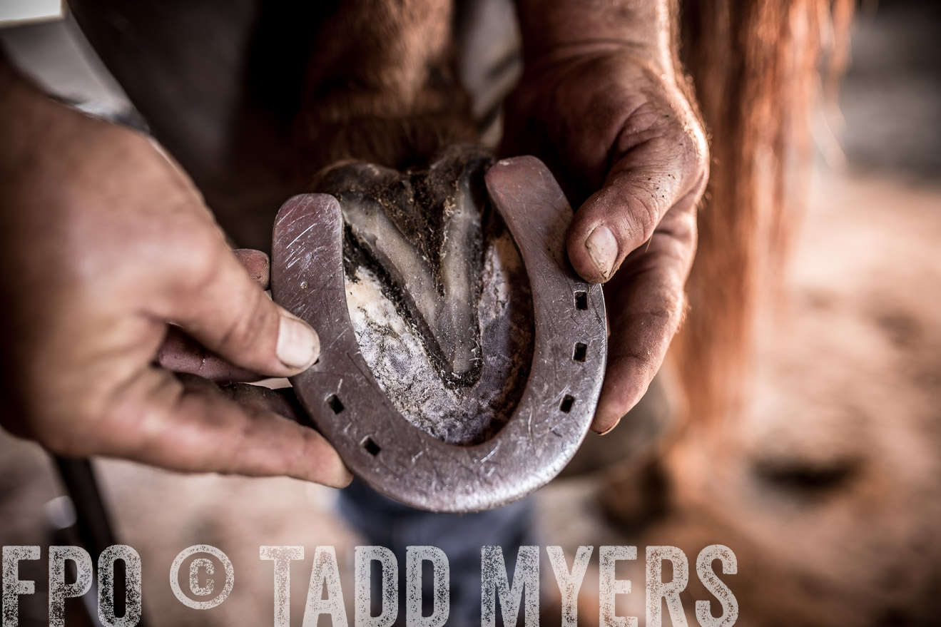 TMyers_CameronTX_June2016-1493