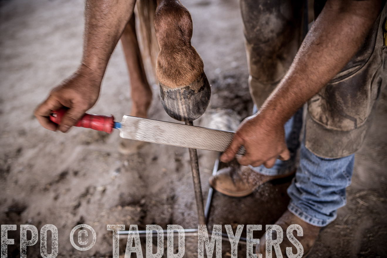 TMyers_CameronTX_June2016-1512