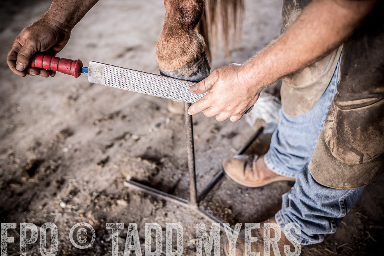 TMyers_CameronTX_June2016-1518