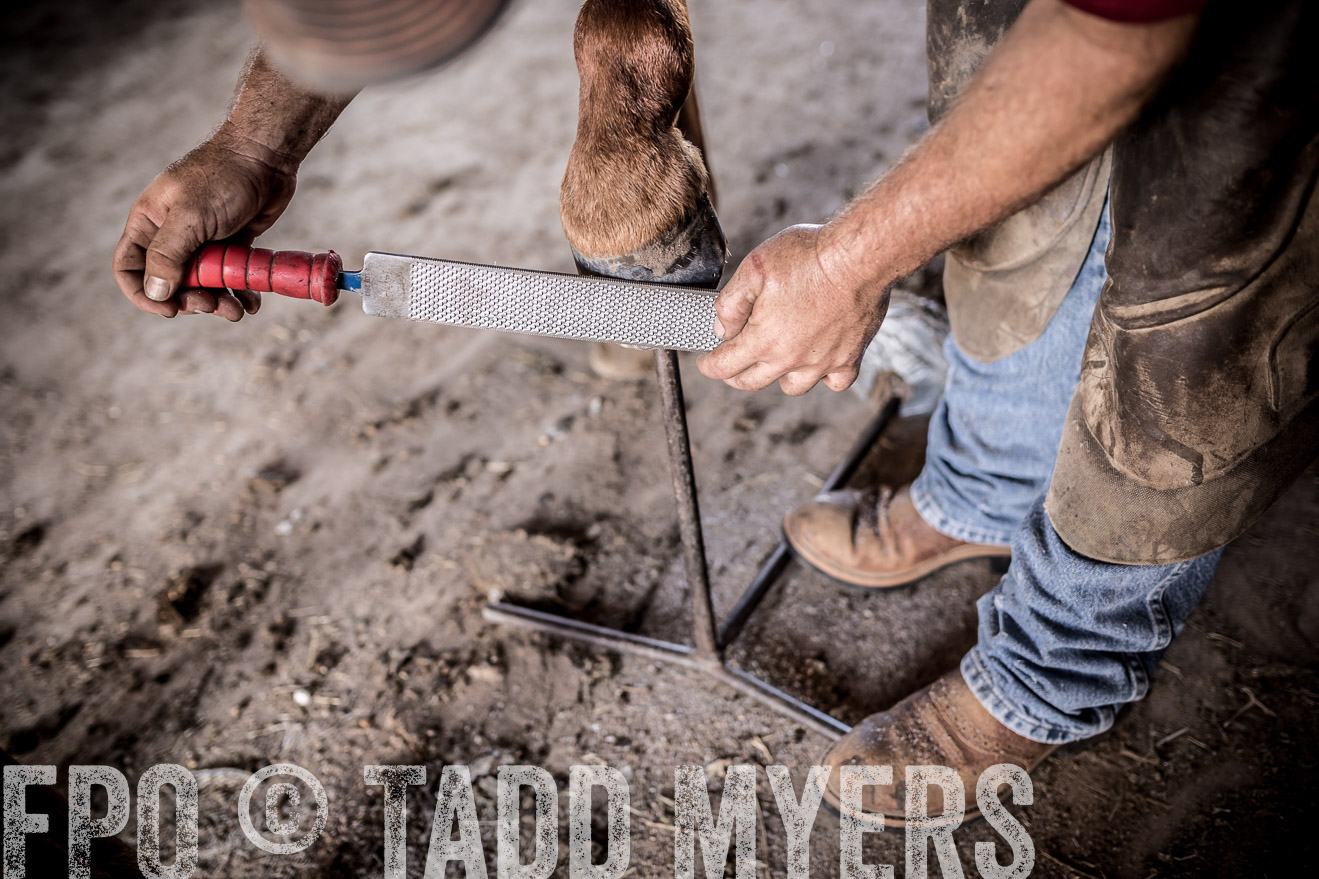 TMyers_CameronTX_June2016-1522