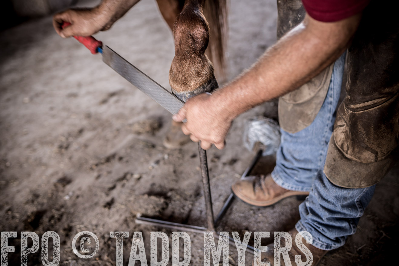 TMyers_CameronTX_June2016-1528