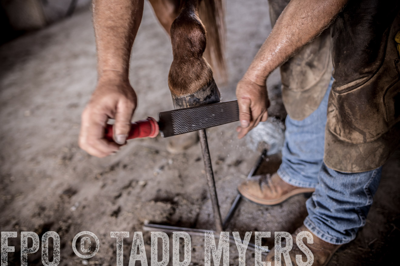 TMyers_CameronTX_June2016-1530
