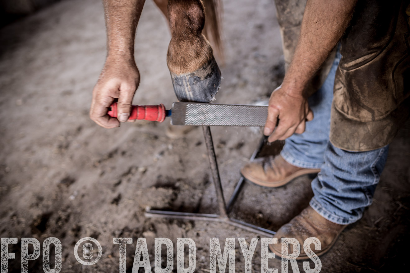 TMyers_CameronTX_June2016-1532