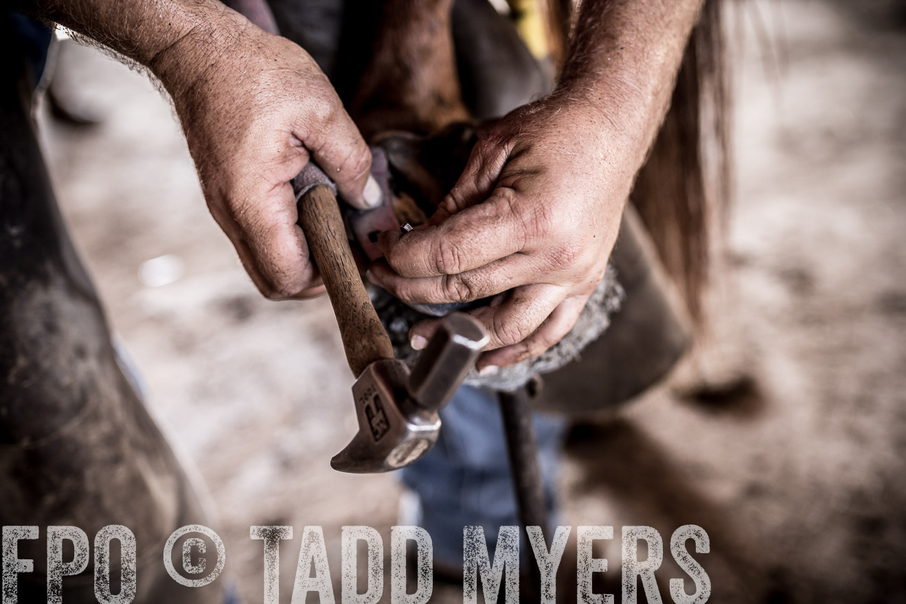 TMyers_CameronTX_June2016-1547