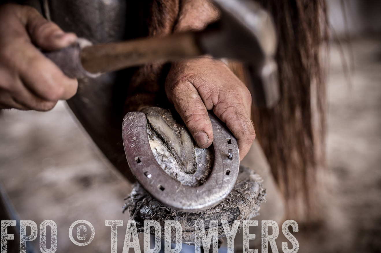 TMyers_CameronTX_June2016-1552