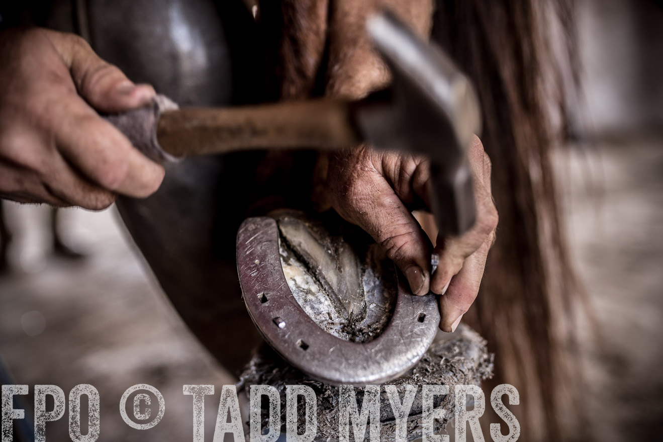 TMyers_CameronTX_June2016-1554