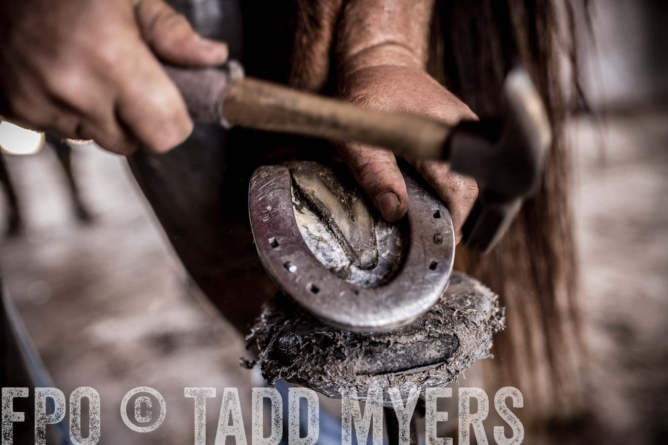 TMyers_CameronTX_June2016-1560