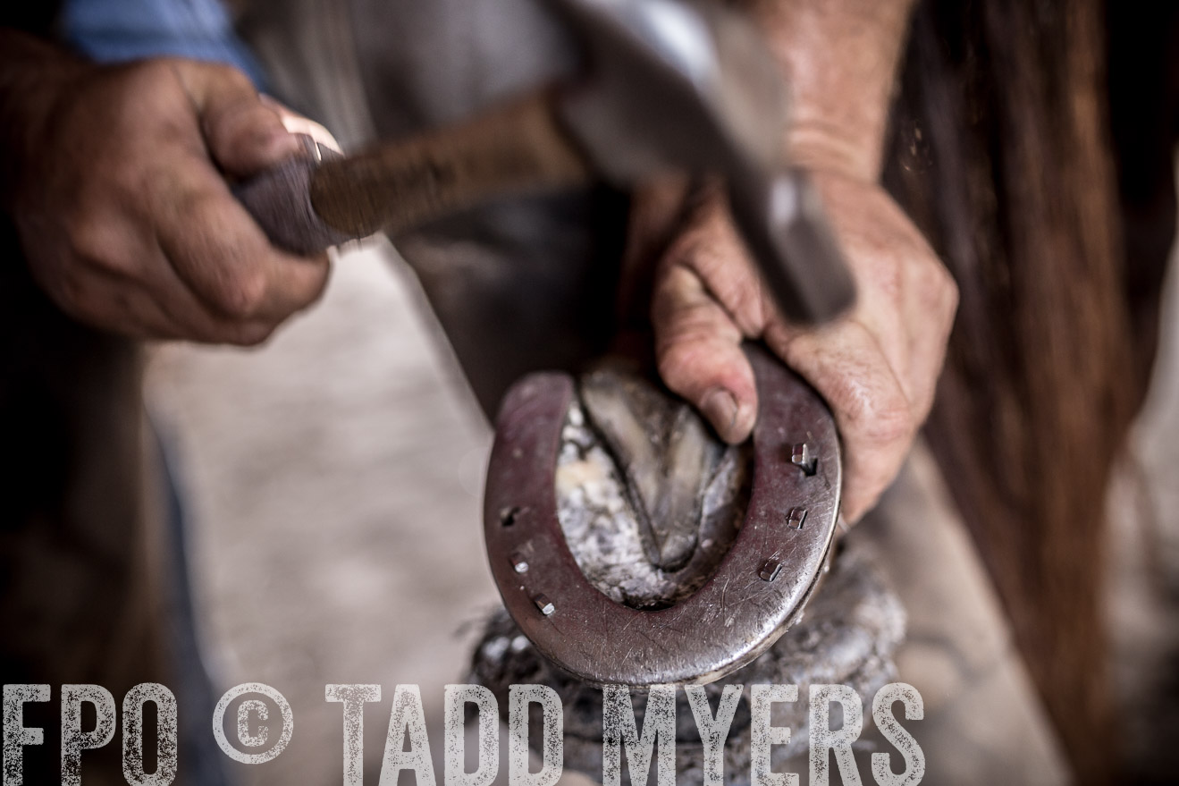 TMyers_CameronTX_June2016-1580