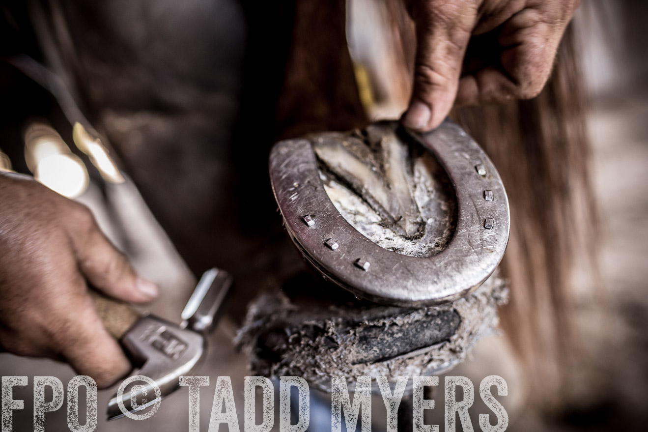 TMyers_CameronTX_June2016-1586