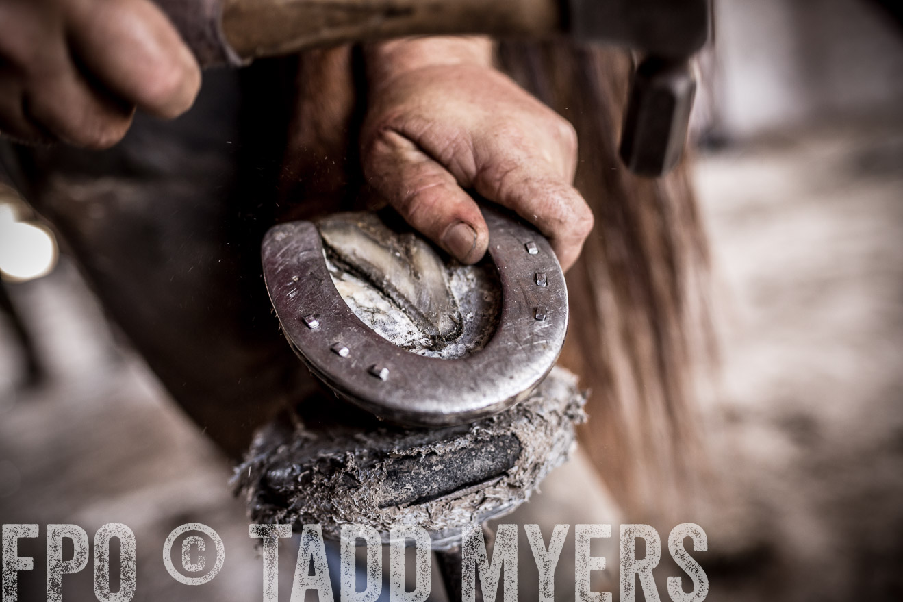 TMyers_CameronTX_June2016-1590