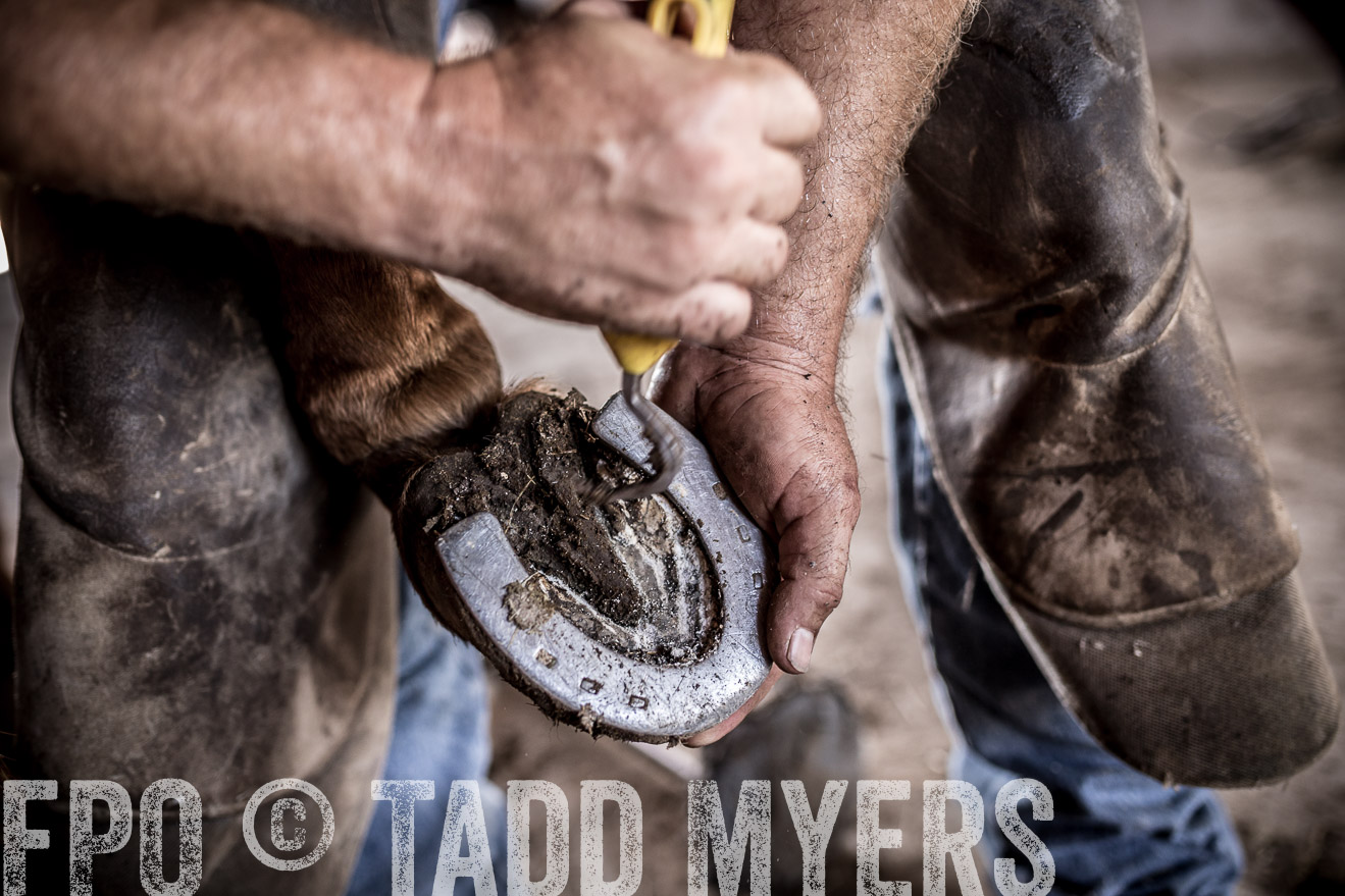 TMyers_CameronTX_June2016-1597