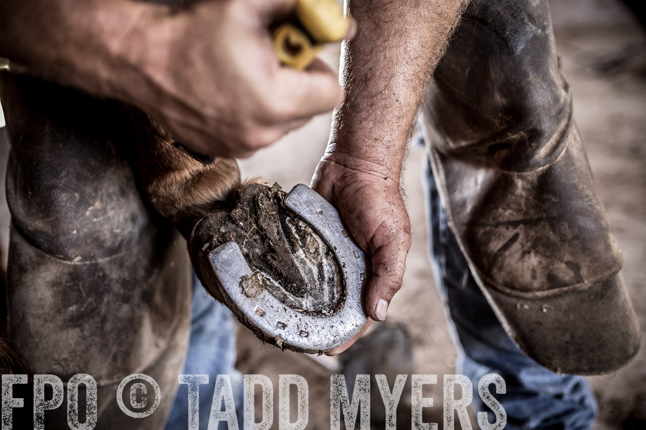 TMyers_CameronTX_June2016-1598