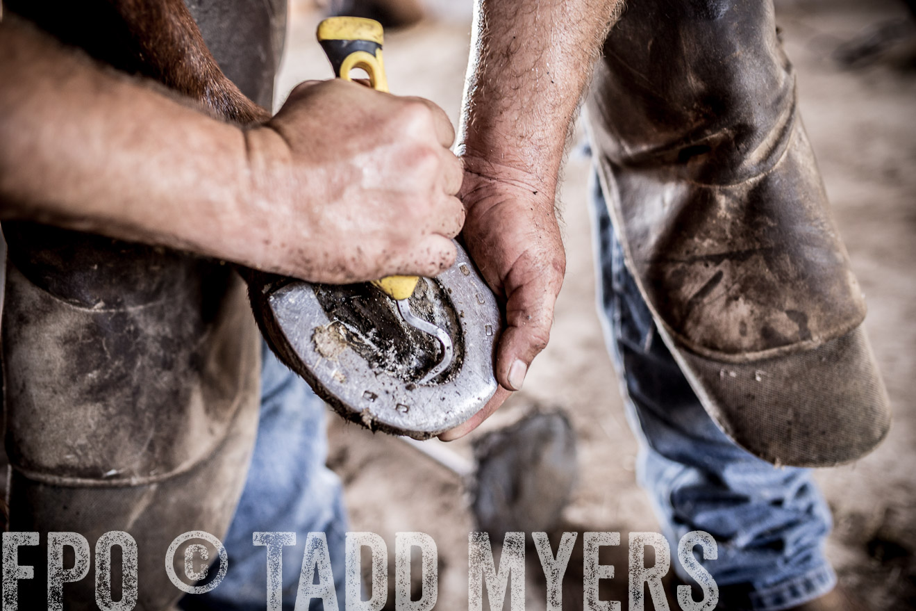 TMyers_CameronTX_June2016-1602