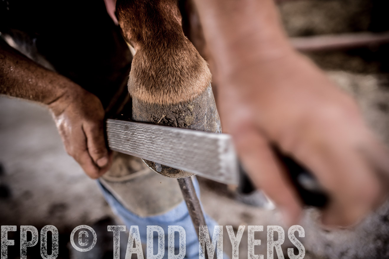 TMyers_CameronTX_June2016-1608