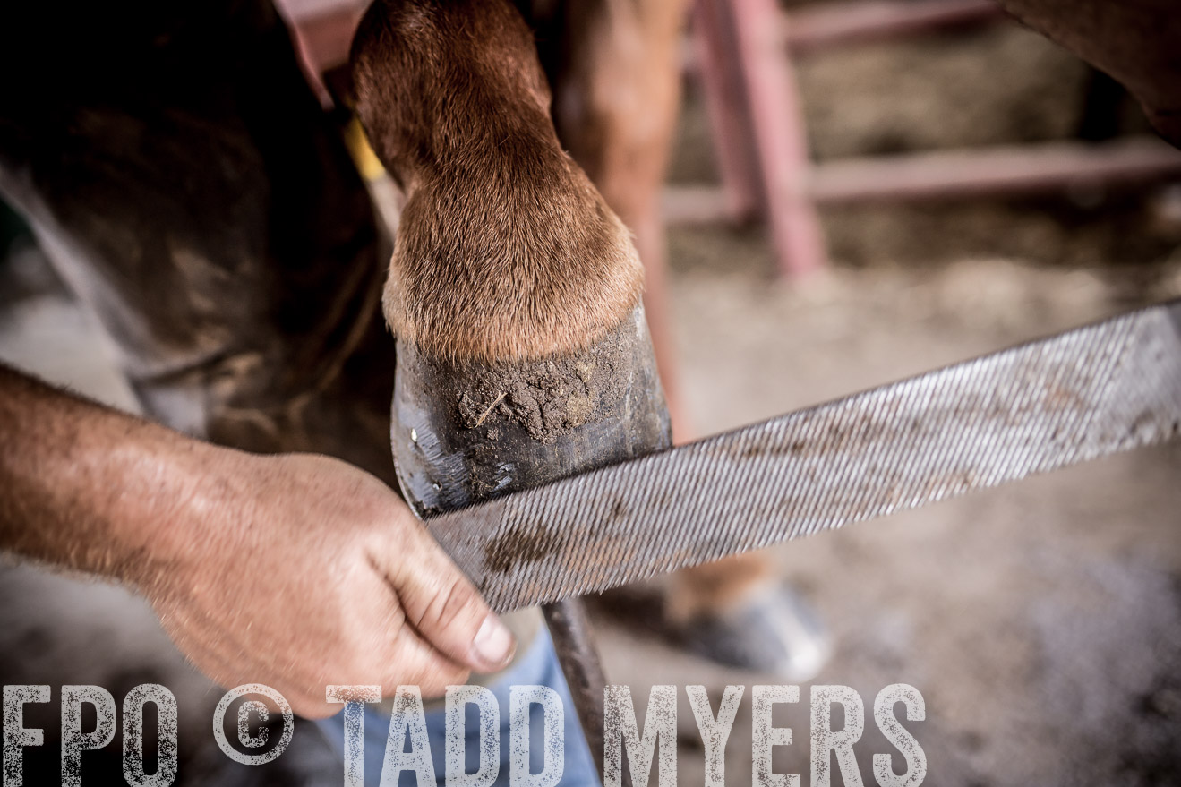 TMyers_CameronTX_June2016-1612