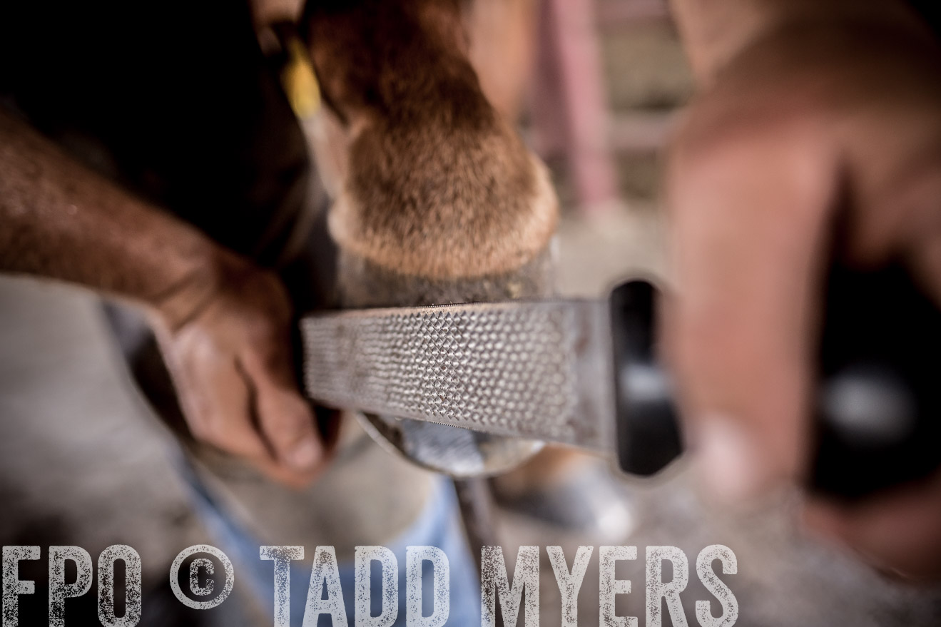 TMyers_CameronTX_June2016-1614