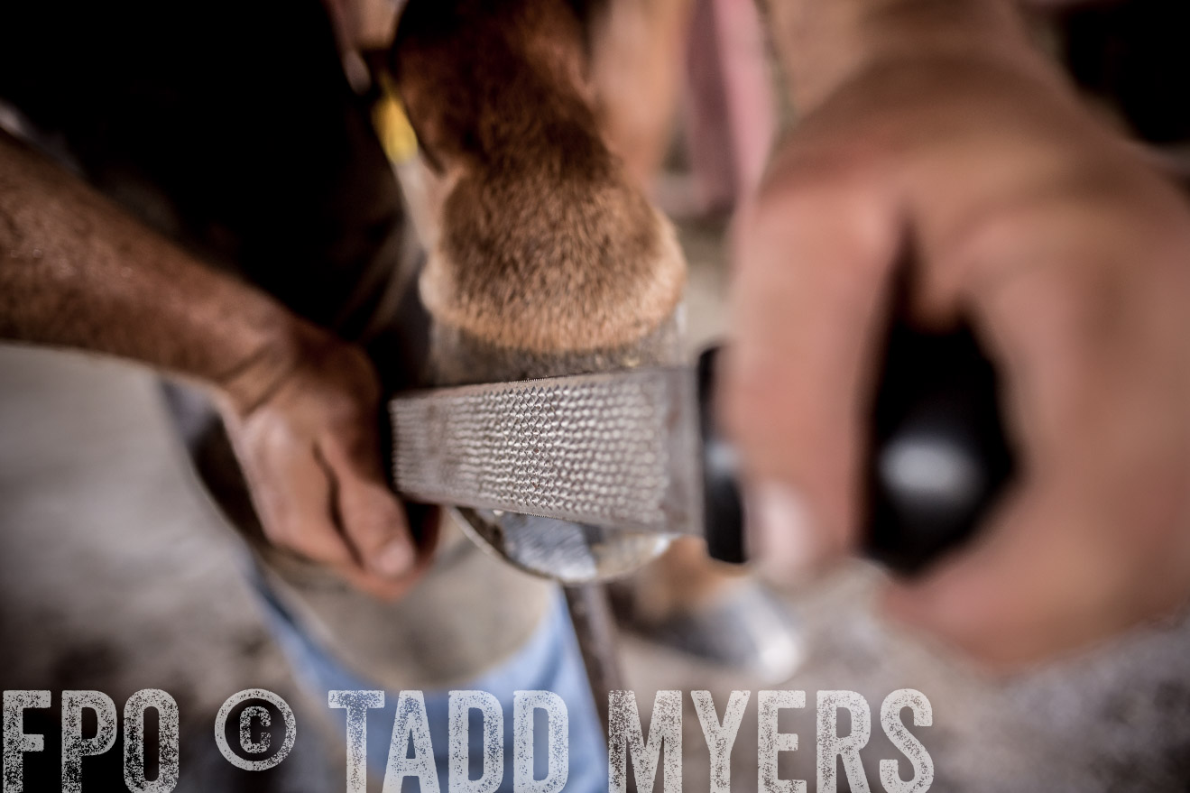 TMyers_CameronTX_June2016-1617