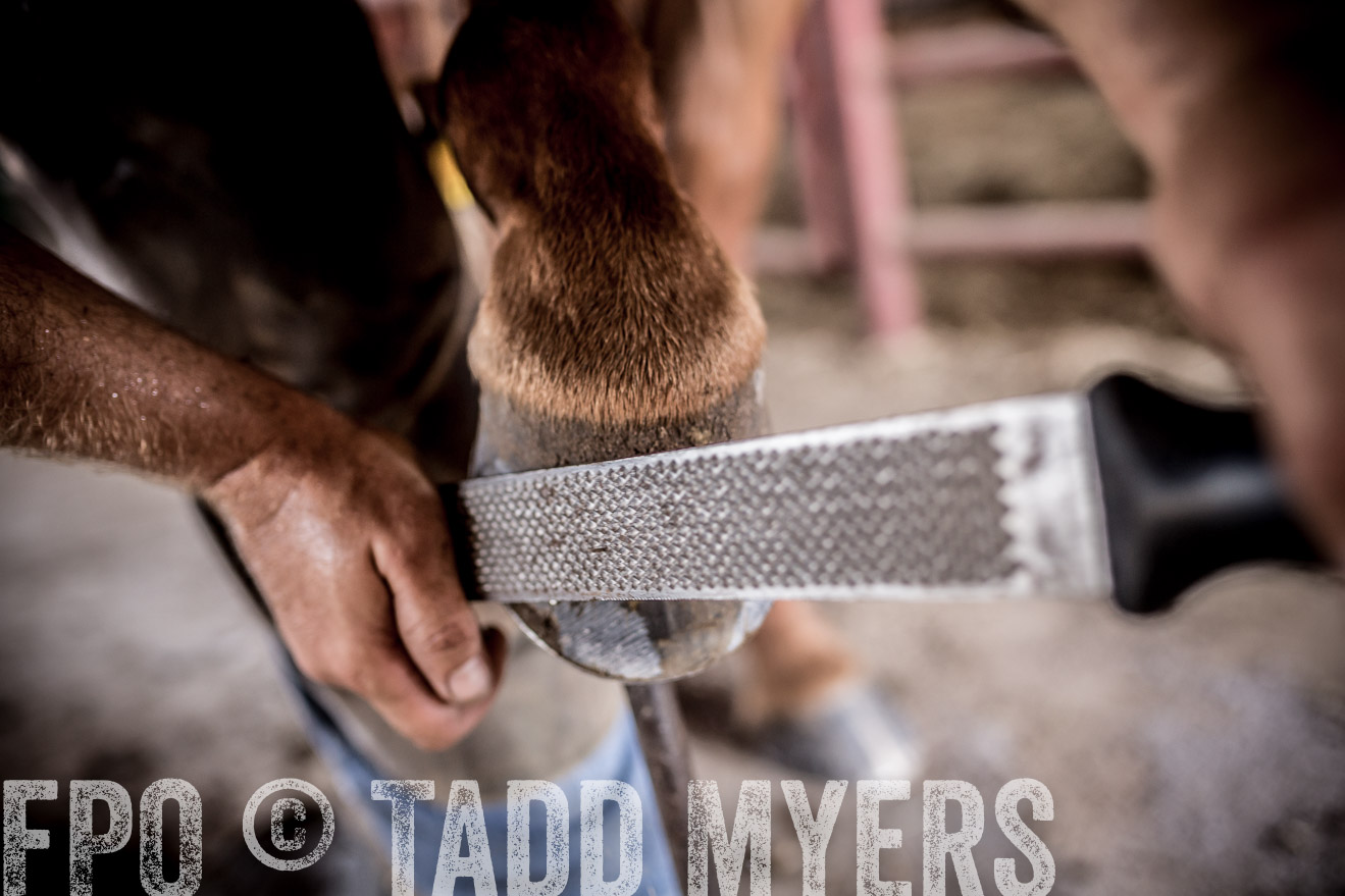 TMyers_CameronTX_June2016-1620