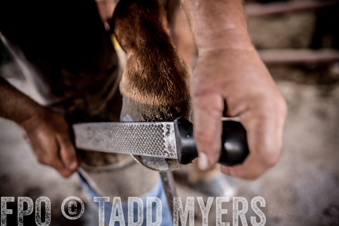 TMyers_CameronTX_June2016-1622