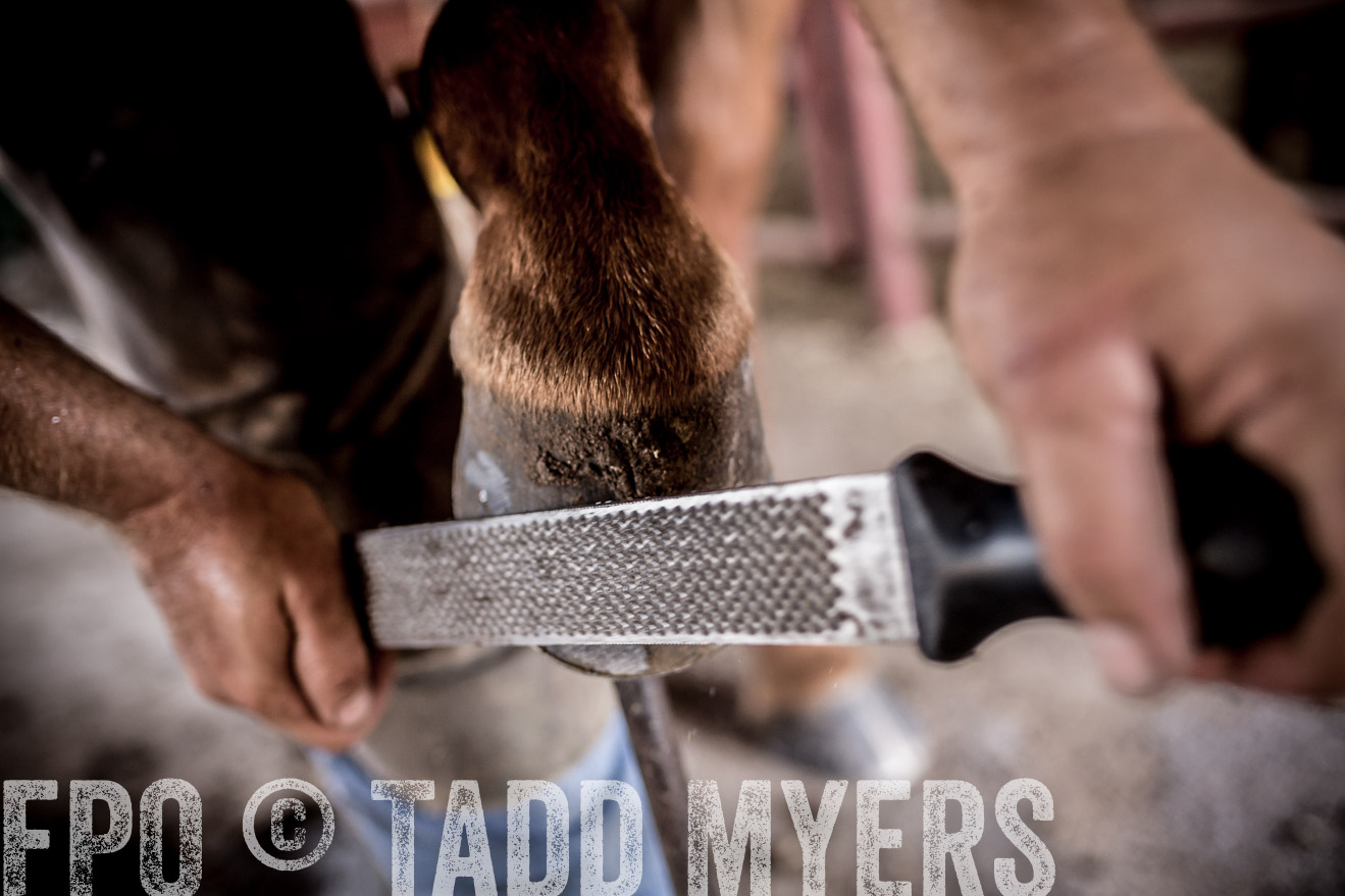 TMyers_CameronTX_June2016-1626