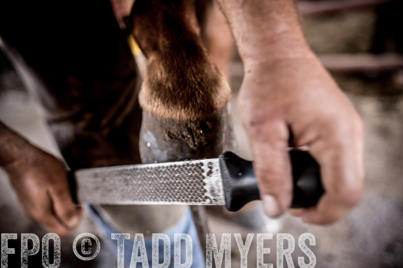 TMyers_CameronTX_June2016-1628