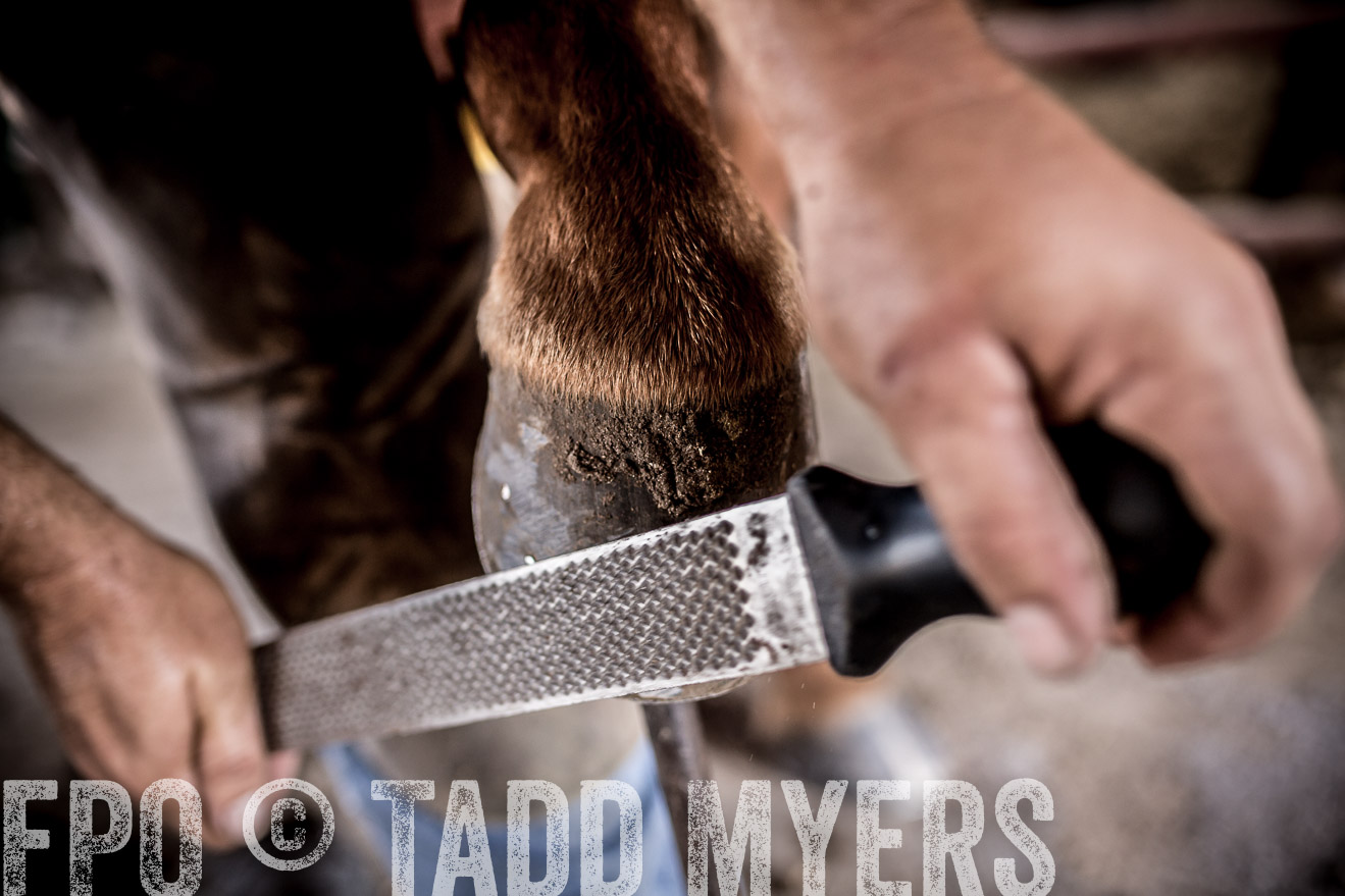 TMyers_CameronTX_June2016-1638