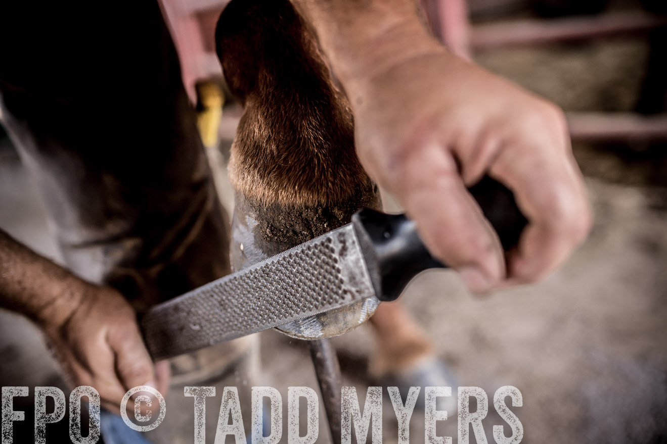 TMyers_CameronTX_June2016-1643