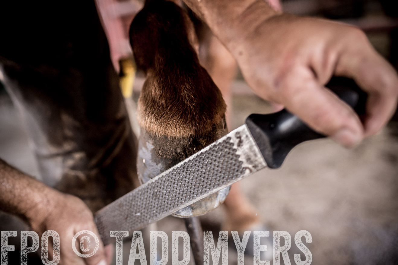 TMyers_CameronTX_June2016-1644