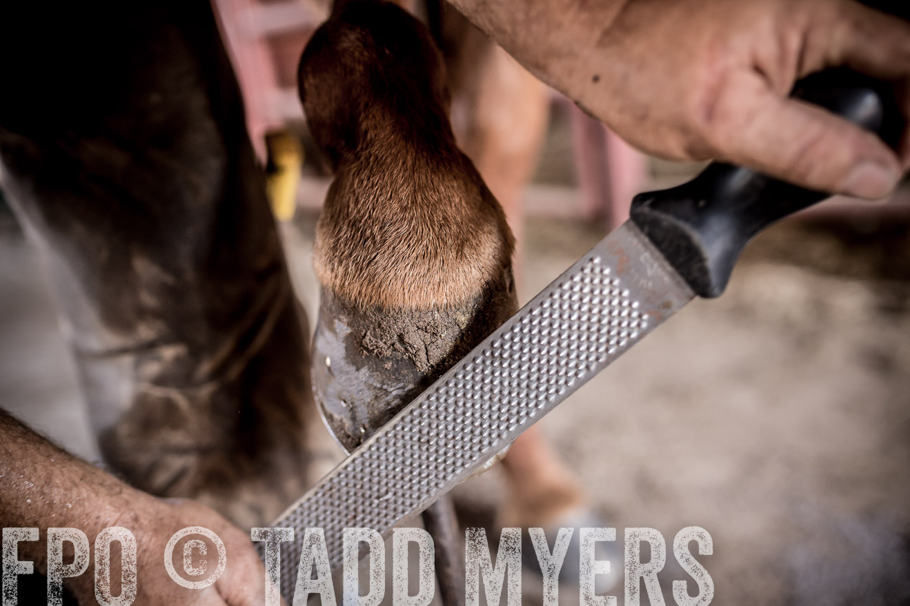 TMyers_CameronTX_June2016-1647