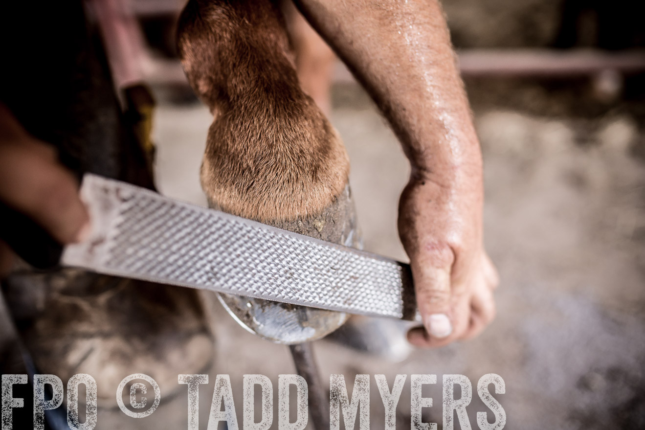 TMyers_CameronTX_June2016-1654