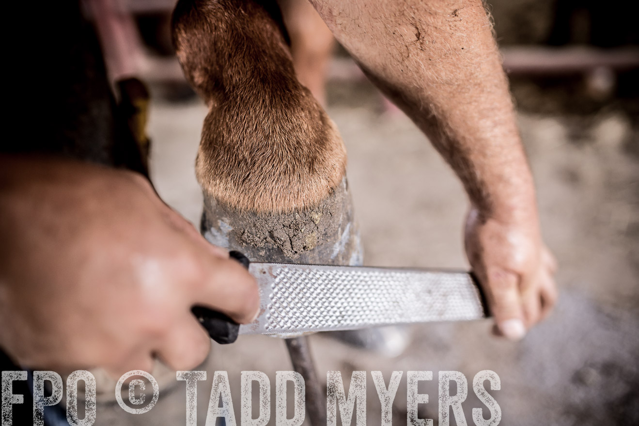 TMyers_CameronTX_June2016-1655