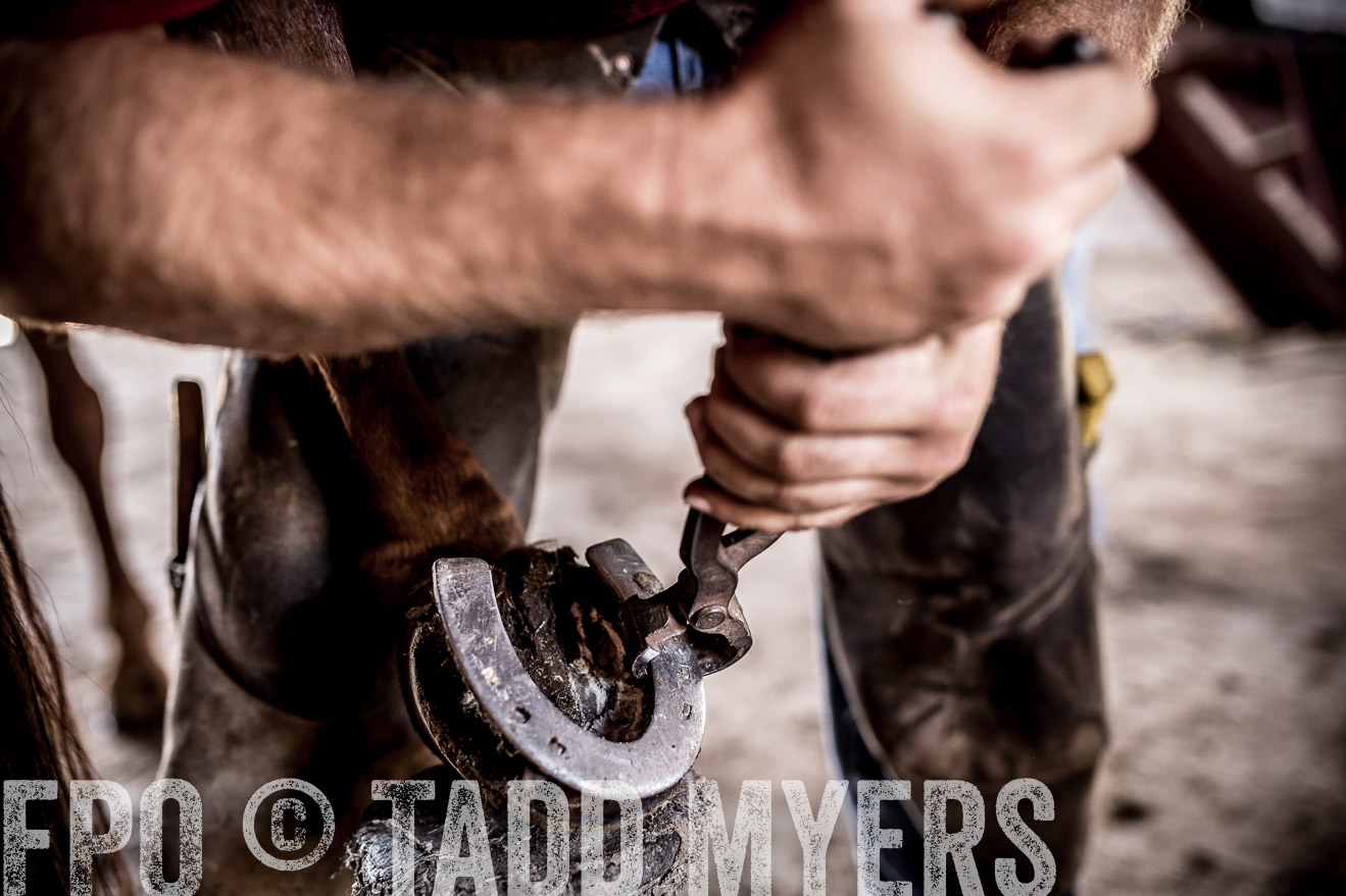 TMyers_CameronTX_June2016-1674