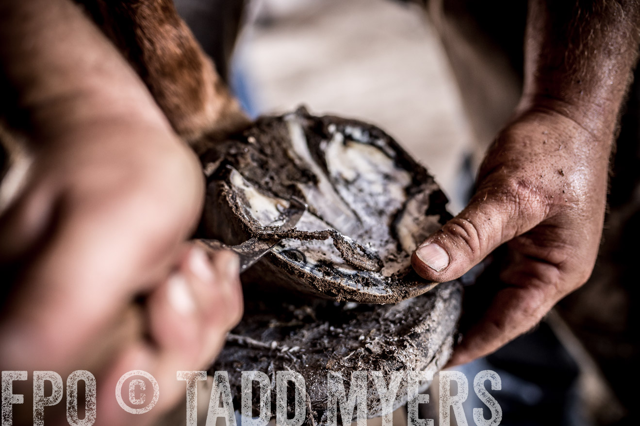 TMyers_CameronTX_June2016-1683