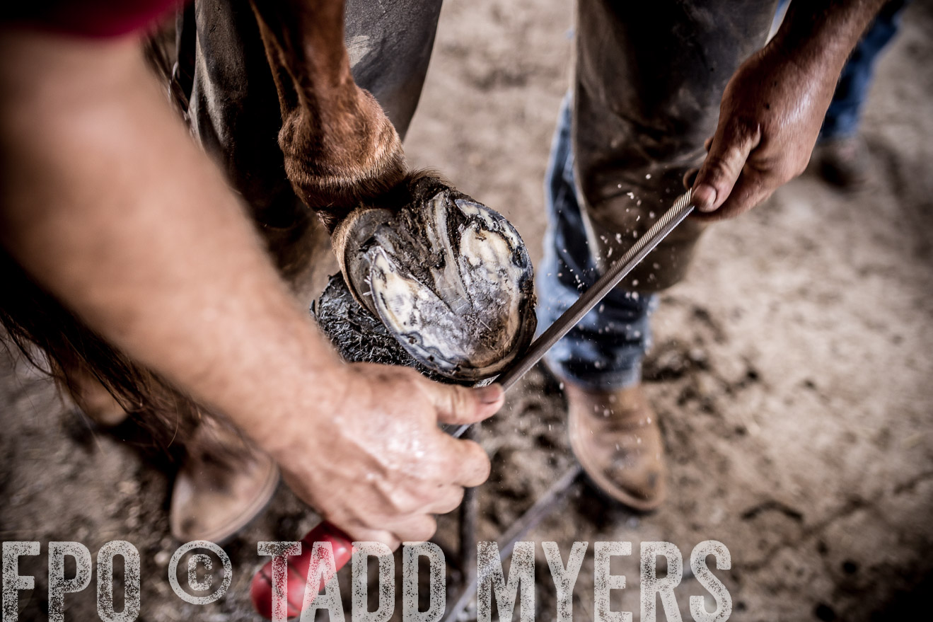 TMyers_CameronTX_June2016-1699