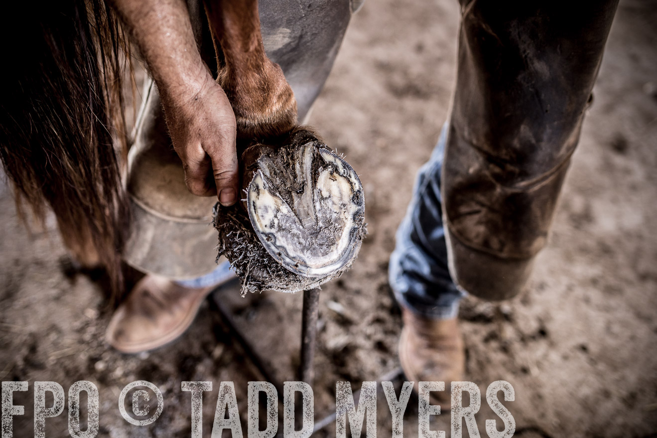 TMyers_CameronTX_June2016-1702