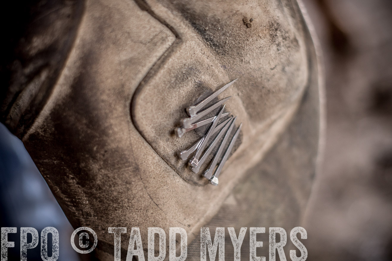 TMyers_CameronTX_June2016-1712