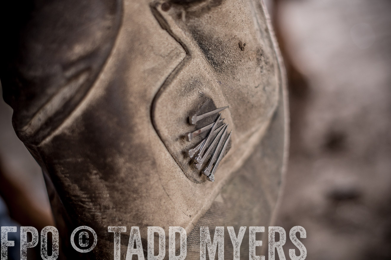 TMyers_CameronTX_June2016-1716