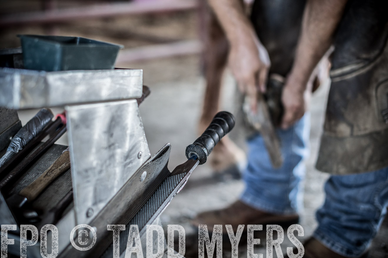 TMyers_CameronTX_June2016-1749