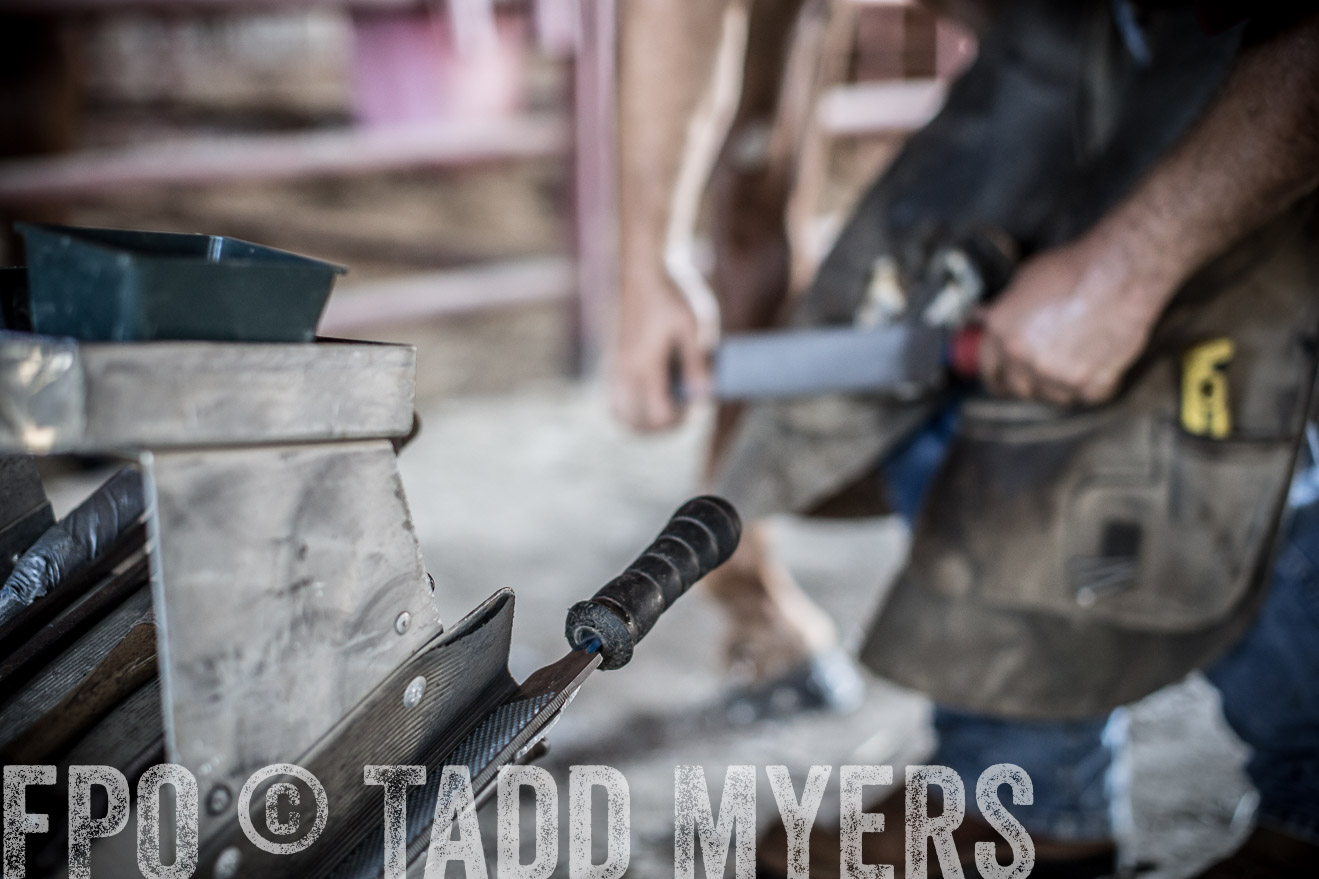 TMyers_CameronTX_June2016-1753