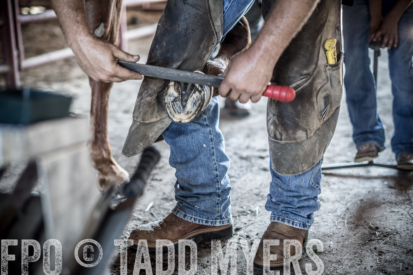 TMyers_CameronTX_June2016-1759