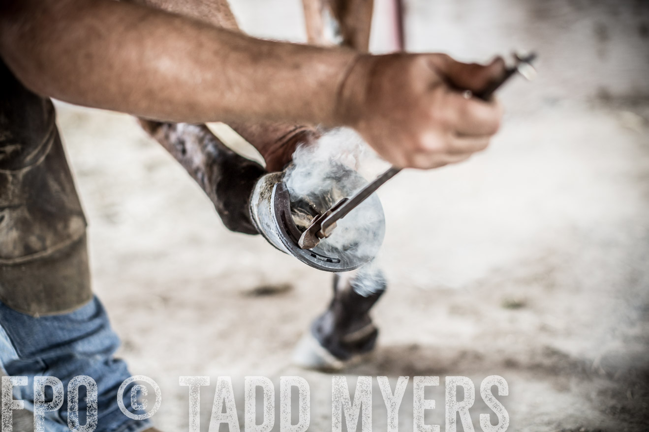 TMyers_CameronTX_June2016-1949